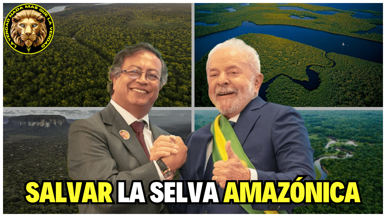 PRESIDENTE PETRO Y LULA SE UNEN PARA LA RESTAURACIÓN DE LA SELVA AMAZÓNICA