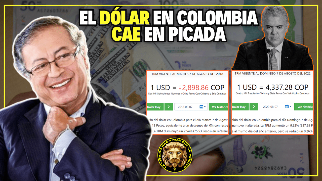 EL DÓLAR CAE EN PICADA LLEGO A LOS $3.700